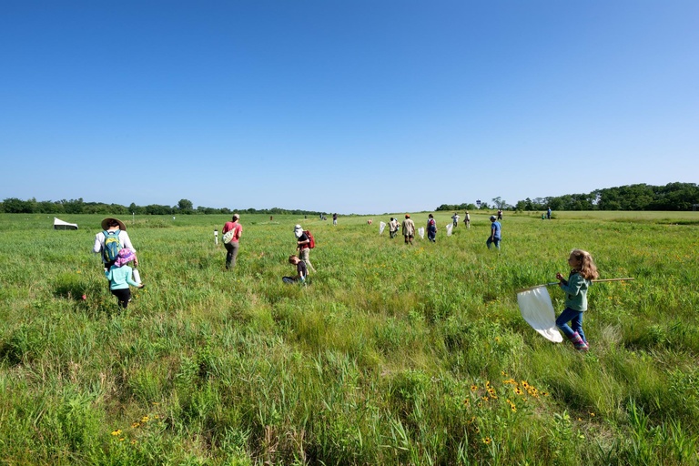 The BioBlitz takes place at the Ashton Prairie Living Laboratory next to the Hawkeye Commuter Lot and near the UI Ashton Cross Country Course.