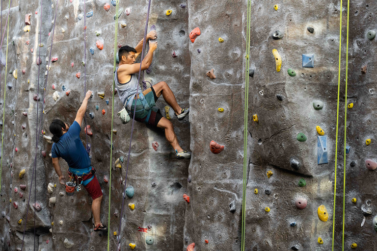 Students climb the rock wall at the Campus Wellness and Recreation Center.
