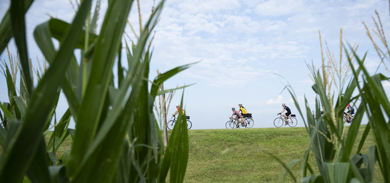 riders by the corn
