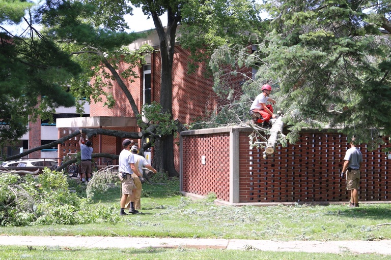 workers removing storm damage