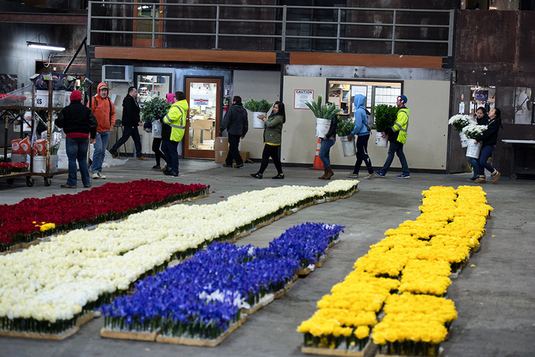 rows of flowers for parade float