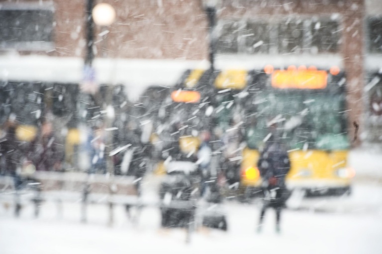 2019_02_11-February 11 Snow jatorner -0026.JPG