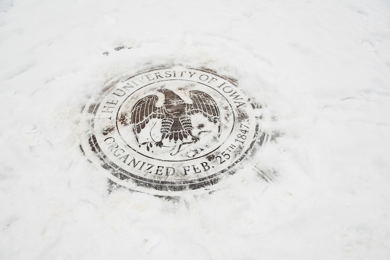 snowy bronze ui seal