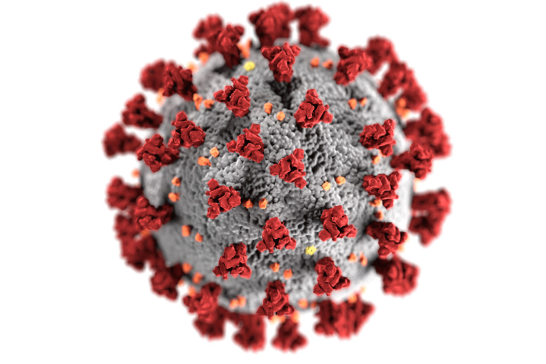 coronavirus