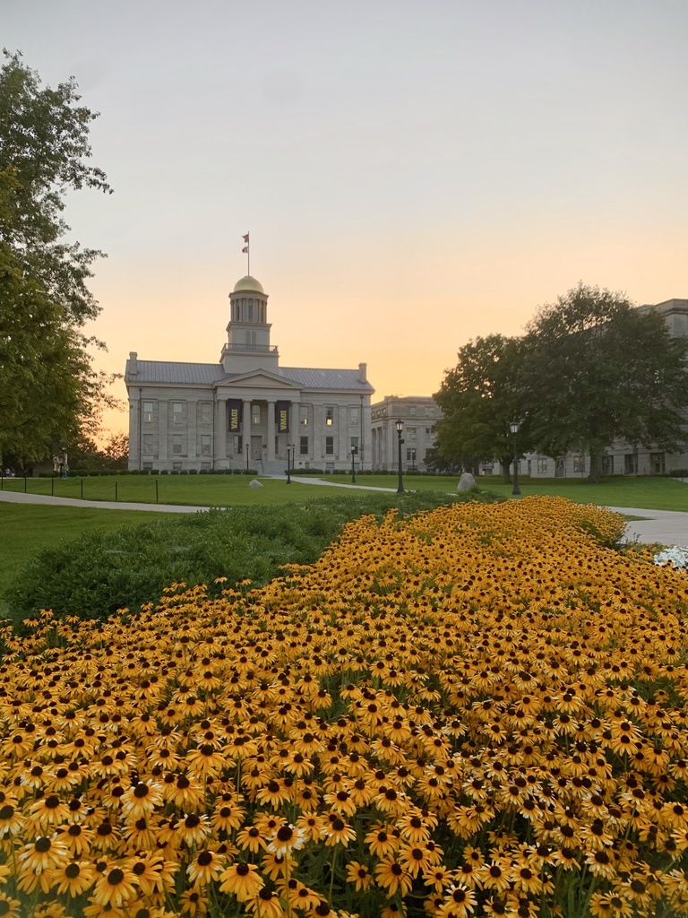 Old Capitol with gold flowers