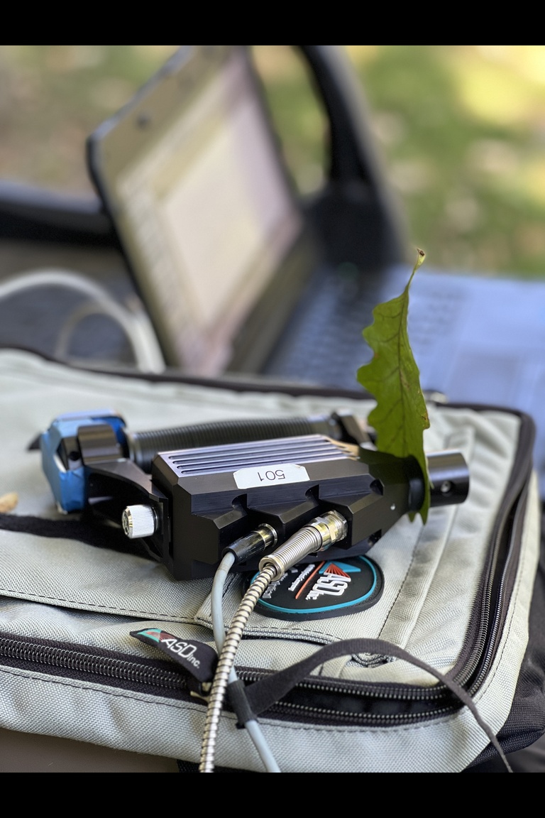 A leaf spectrometer looking for blight in an oak leaf