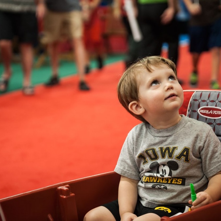 Iowa State Fair