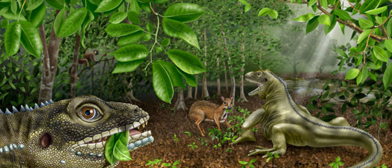 UI researcher and colleagues discover new species of ancient Asian