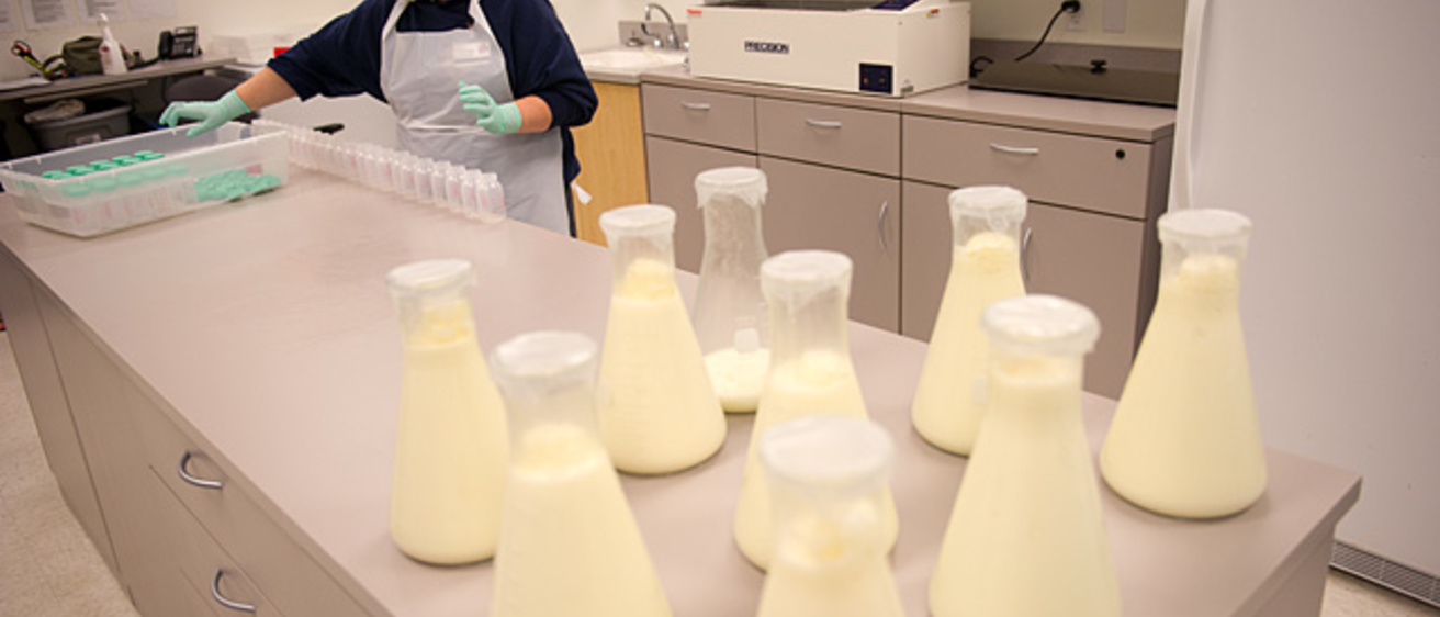 Erin Edington prepares milk for pasteurization