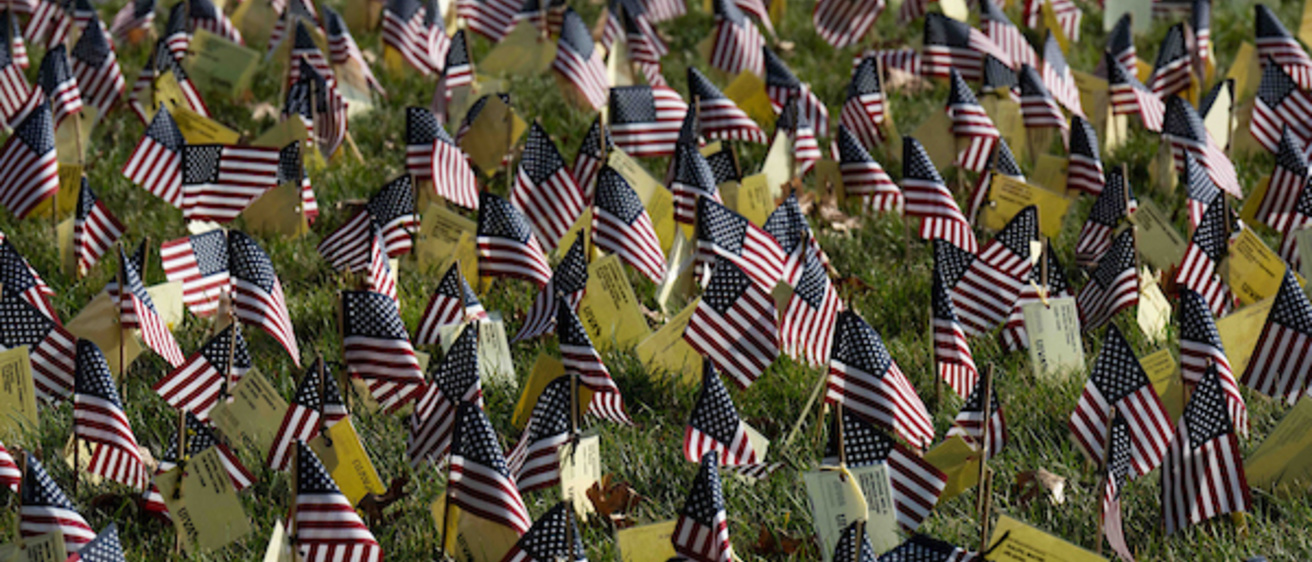 PHoto of Veterans Day flags