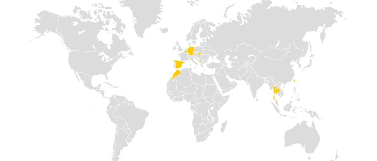 A world map showing countries where UI has Fulbright scholars