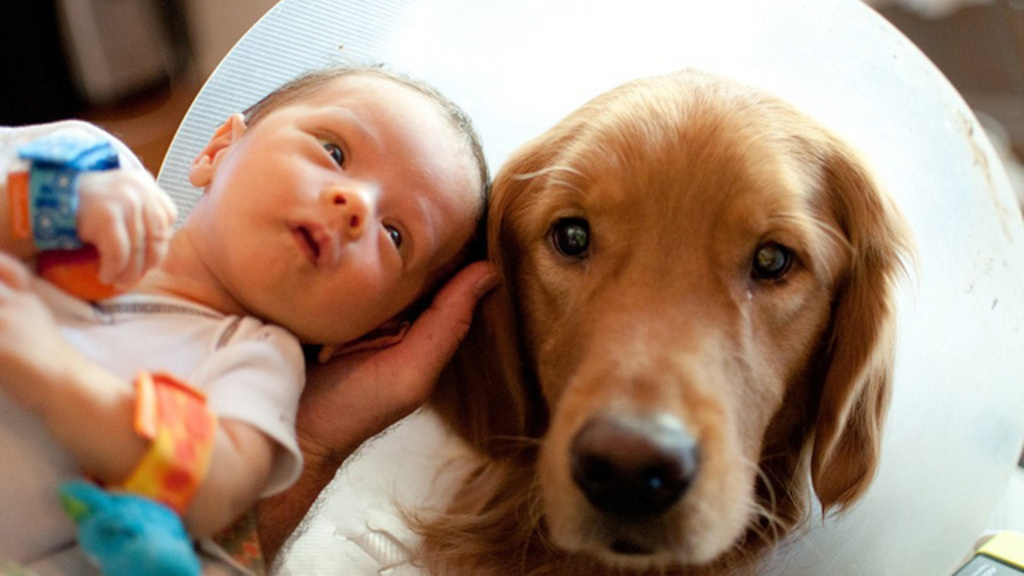 baby and dog