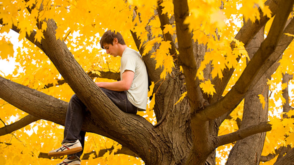 A student studies in a tree.