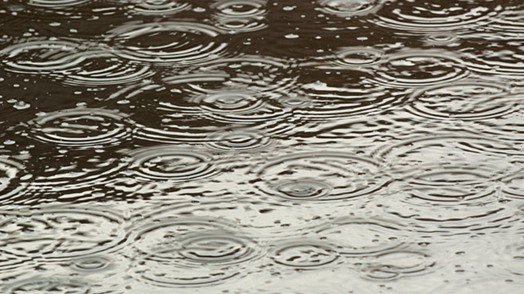 rain drops hitting a puddle of water
