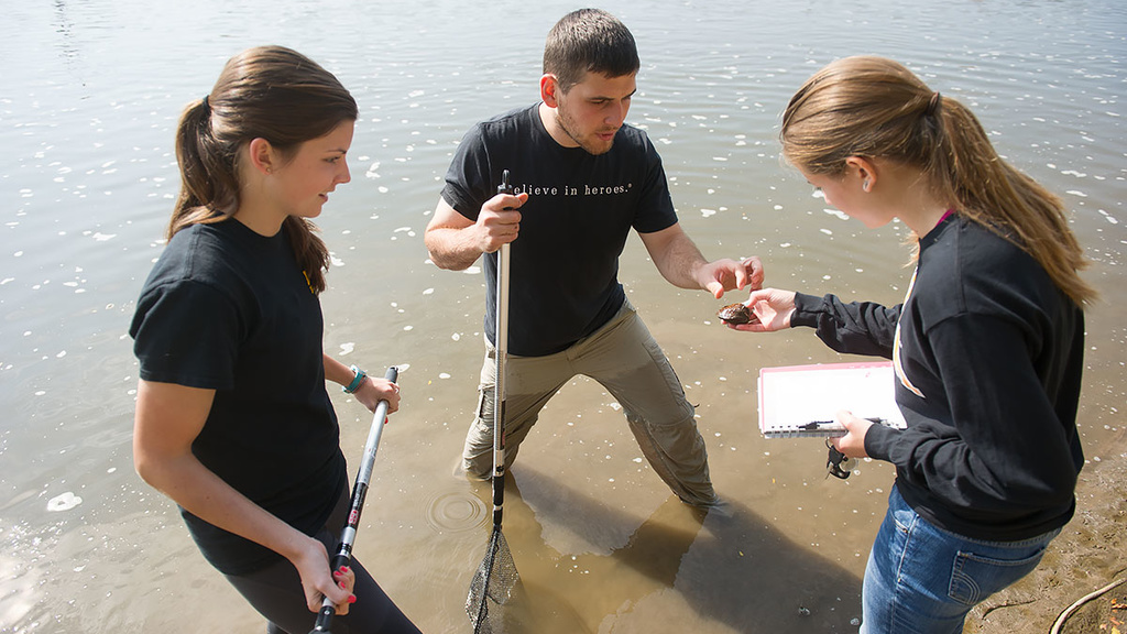 Lee Hauser studies mussels on the Iowa River