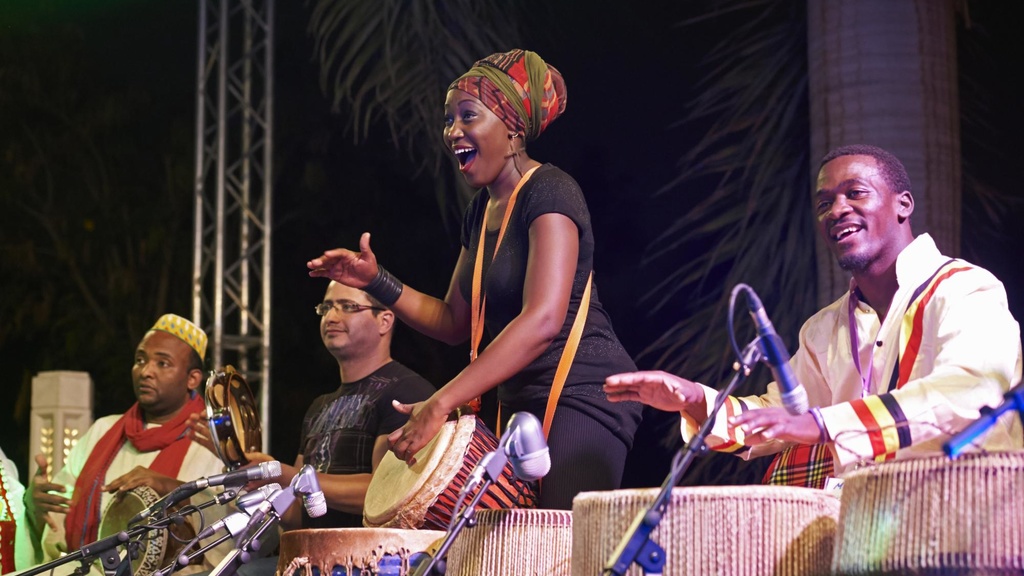 nile project musicians performing