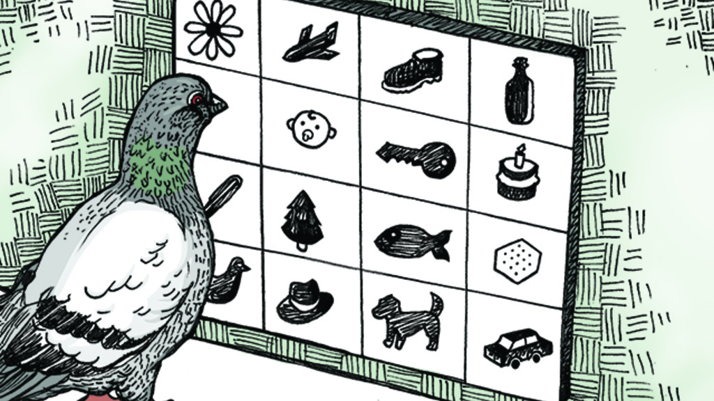 Illustration of a pigeon looking at a grid of symbols