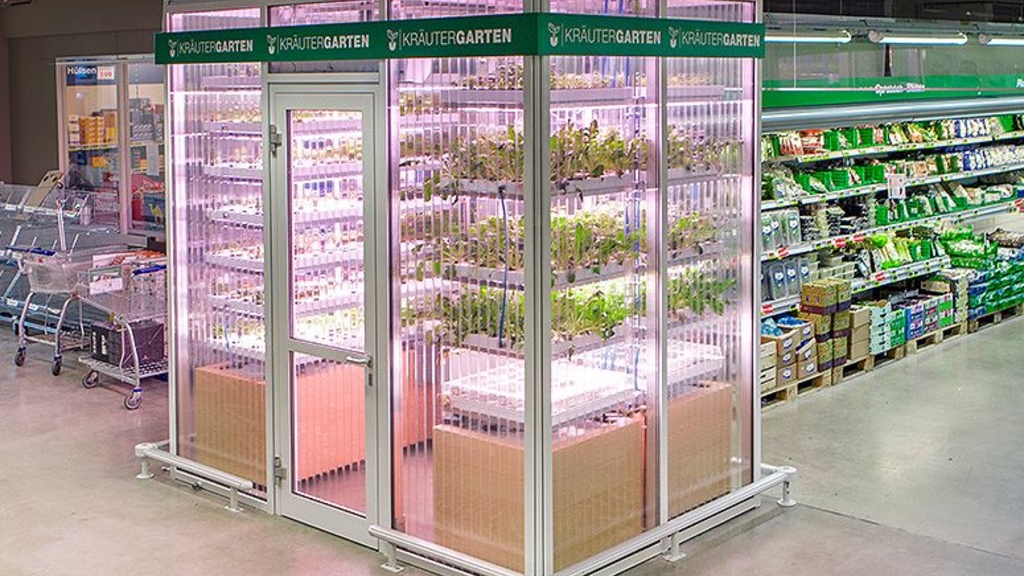 grocery-aisle-garden-new-main_0.jpg