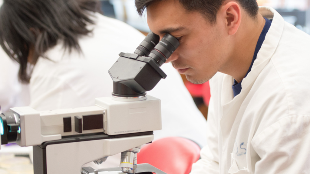 person looking into a microscope